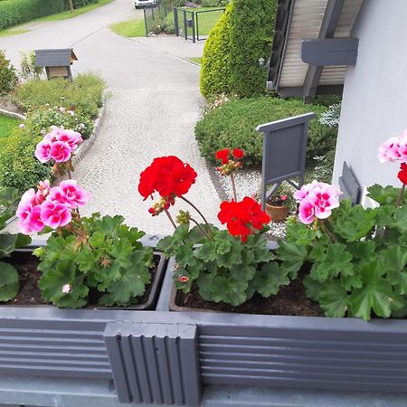 Appartement Auf Dem Hufen à Ribnitz-Damgarten Extérieur photo
