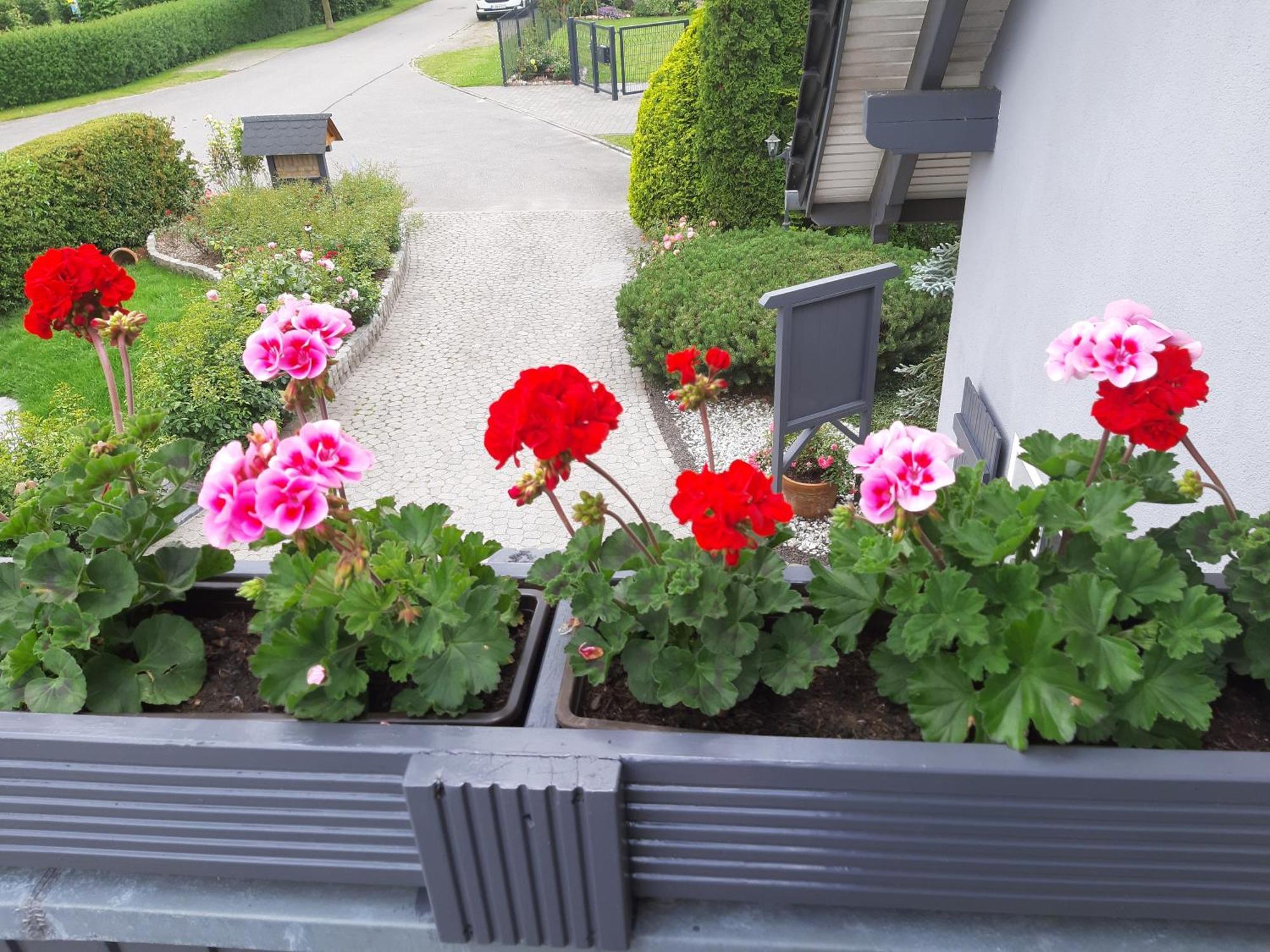 Appartement Auf Dem Hufen à Ribnitz-Damgarten Extérieur photo